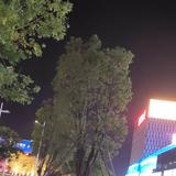 百应必有果头像