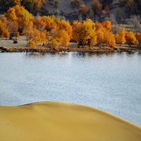 天马行空MHT头像