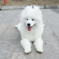 111头像