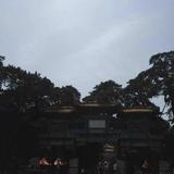 杨紫涵万事如意头像