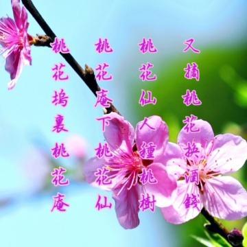 鱼乐桃花仙头像