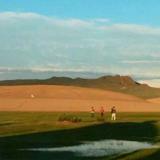 小眼49915282头像