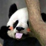 侬好帅头像