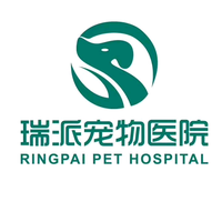 瑞派 小俏皮王一龙头像