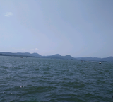 用户3131572894444头像