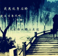 金鱼群聚头像