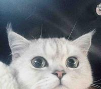 用户2132016485723头像