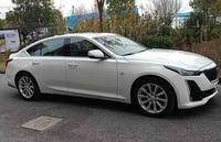 CT5凯迪车主头像