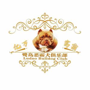 鹭岛恶霸犬俱乐部头像