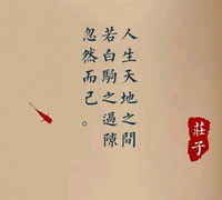 小小强头像