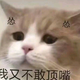 拂尘.头像