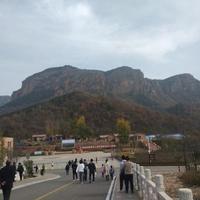 米斯特尔凡头像