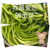 顶级生活头像