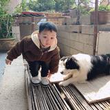 已重置头像