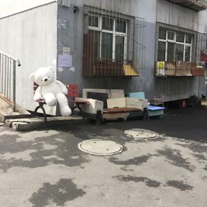 你不管，头像