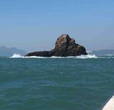 海上猎豹头像