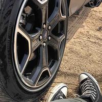 大老虎啊呜啊呜啊呜头像