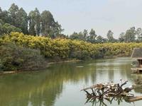 碧水蓝天白云0头像