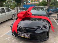 藤原豆腐店没豆腐头像