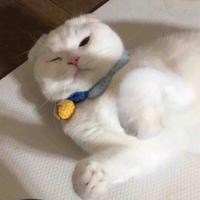 延希延头像