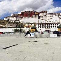 叫個啥名字呢头像