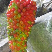 妮娜姐211210560头像