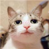 沤运工钱赴头像
