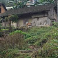 往事随风_2247013头像