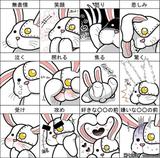 Sssss密达头像