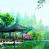 A阳光天使头像