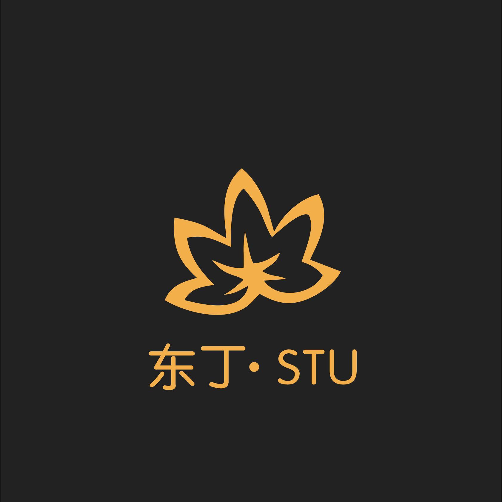 东丁STU头像