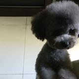 我可爱贝贝头像