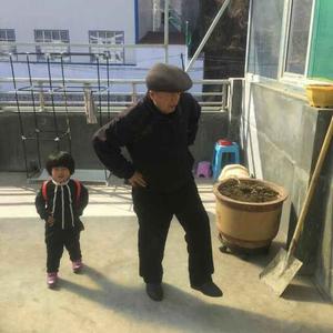 老顽童讲故事头像