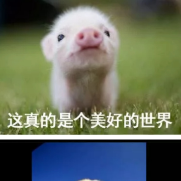 威威娟头像