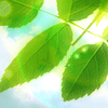 老淘气9904头像
