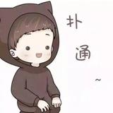 modelY的等等党头像