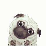 用户74433940580头像