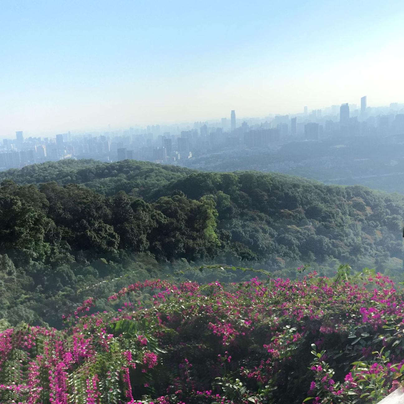 那些年风景正好头像