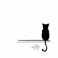 朱小新12345头像