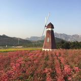 键盘鲁超是个下三滥头像