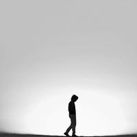 用户86636295120头像