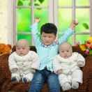 多子多福337头像