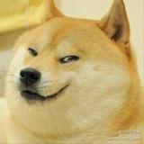 韭踏马菜头像