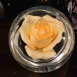 汽车旅行家头像