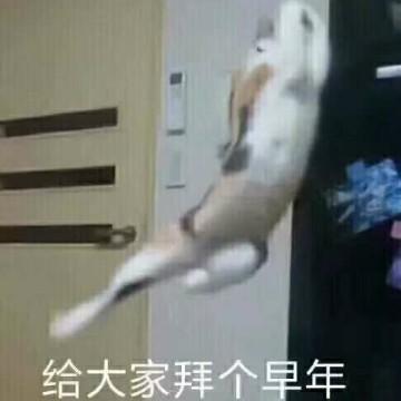 热情钢琴uJ头像