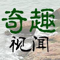 奇趣视闻头像