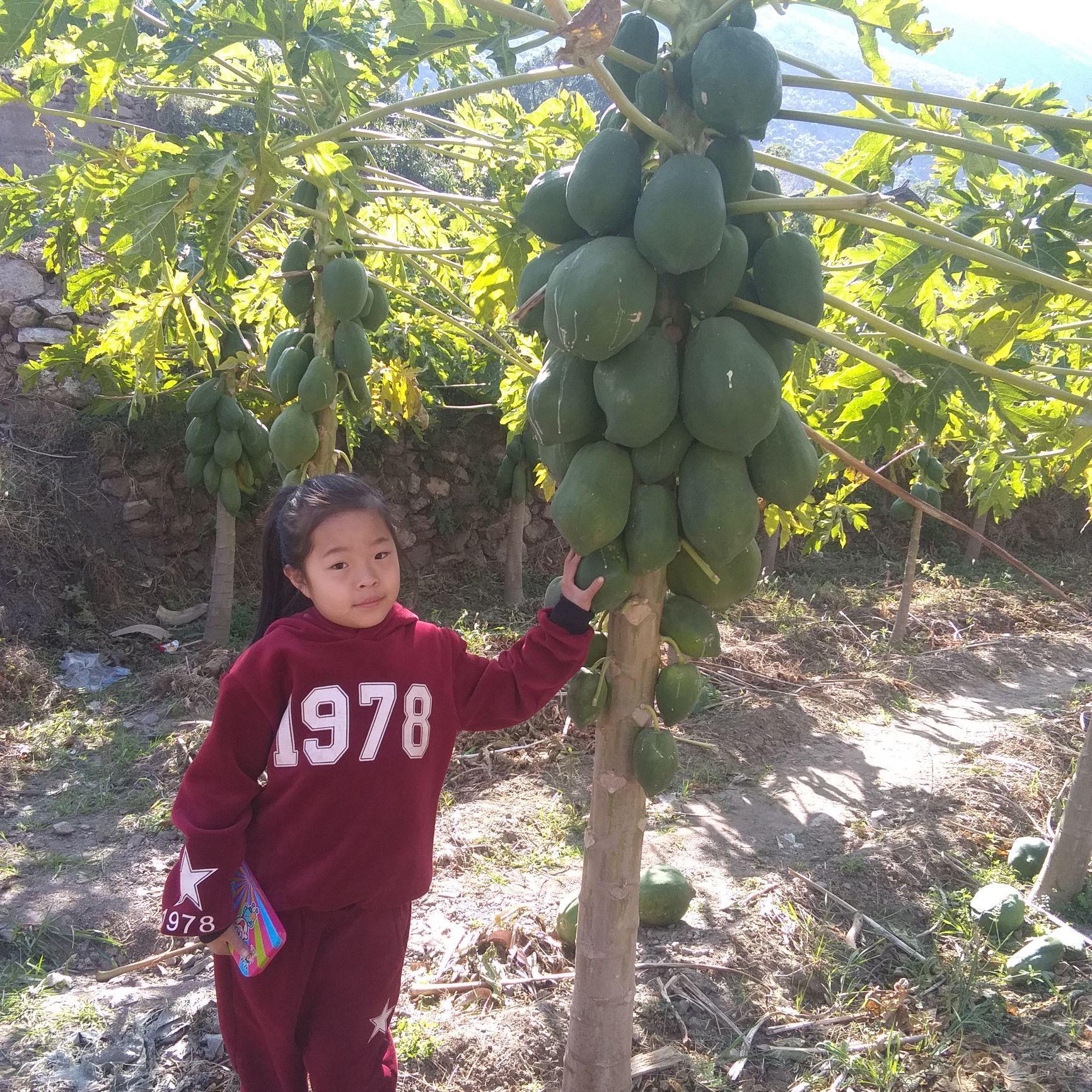 绿水香头像