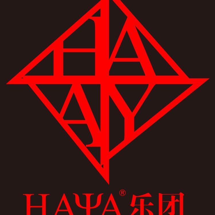 HAYA乐团头像