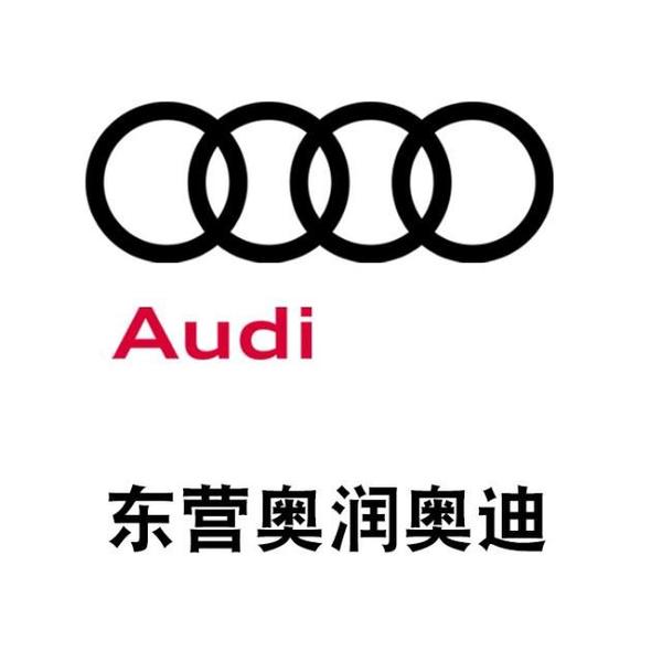 东营奥润奥迪旗舰店头像