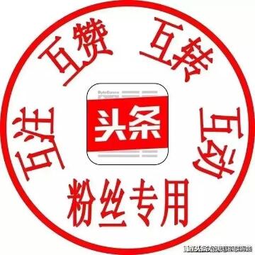 我们相互关注吧头像